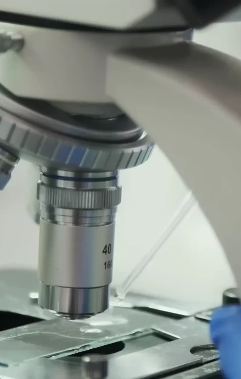video-capture-t0000.00seg-1254